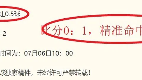利兹联队签约埃尔维迪：1000万欧元转会费，2029年合约到期
